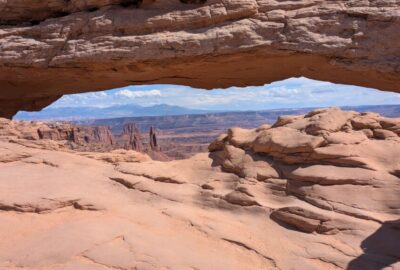 PXL_20250927_190830866 Wholesale Options