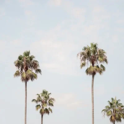 unsplash-image-nAme0YH7hdU